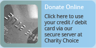 donate online