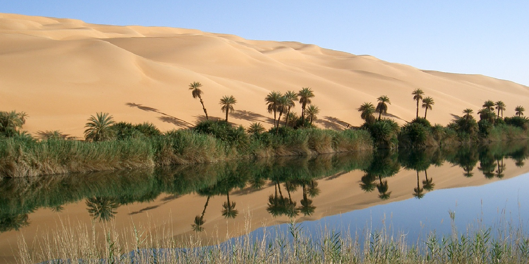An oasis in the midst of sand dunes