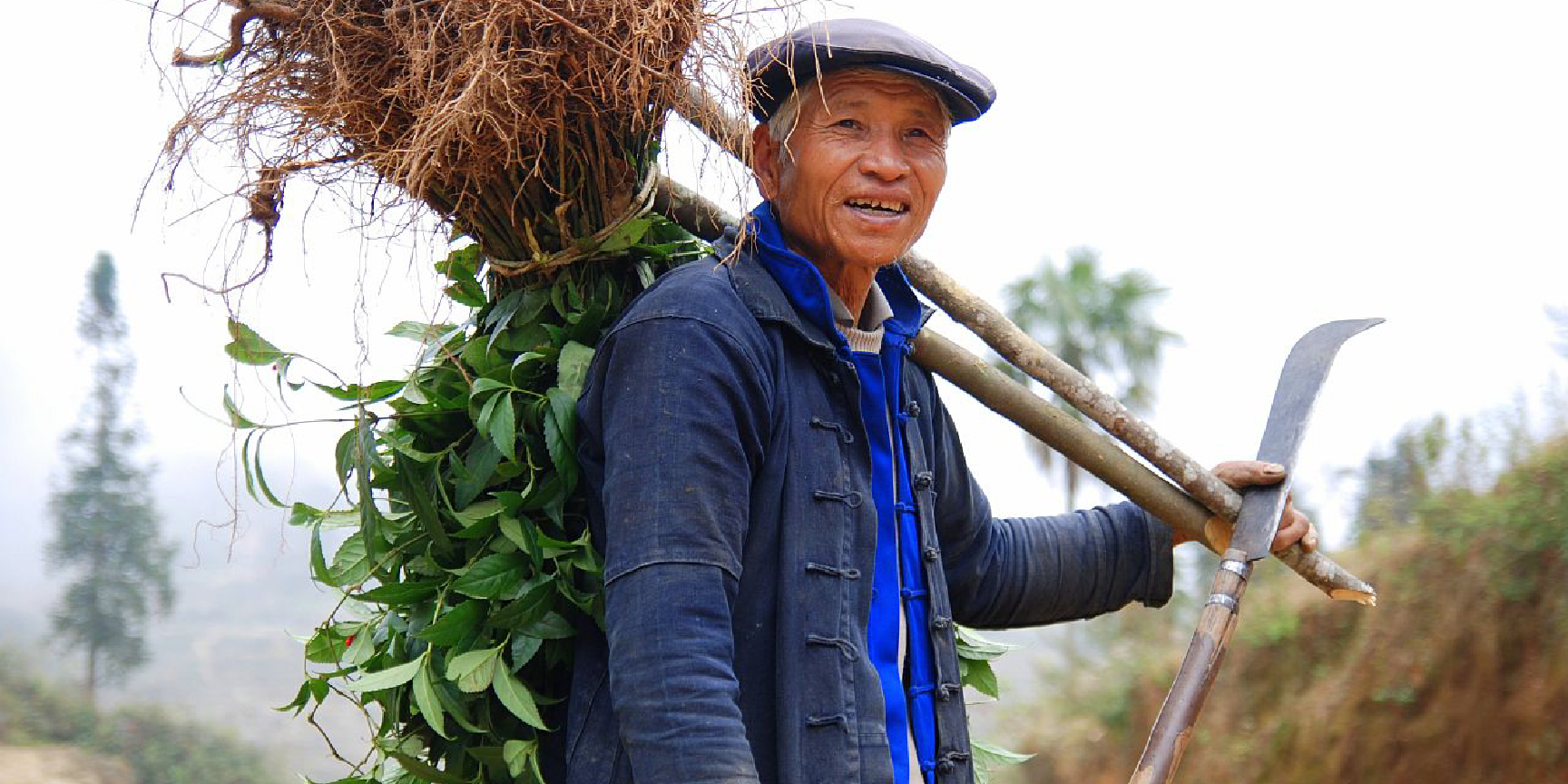 An elderly Chinese farmer carries some of his harvest on his back.